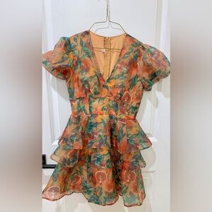 Women Fruit Printed Mini Dress